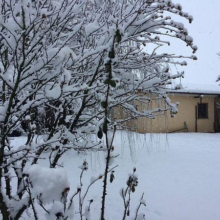 圣马西莫Agriturismo Le Due Arcate别墅 外观 照片