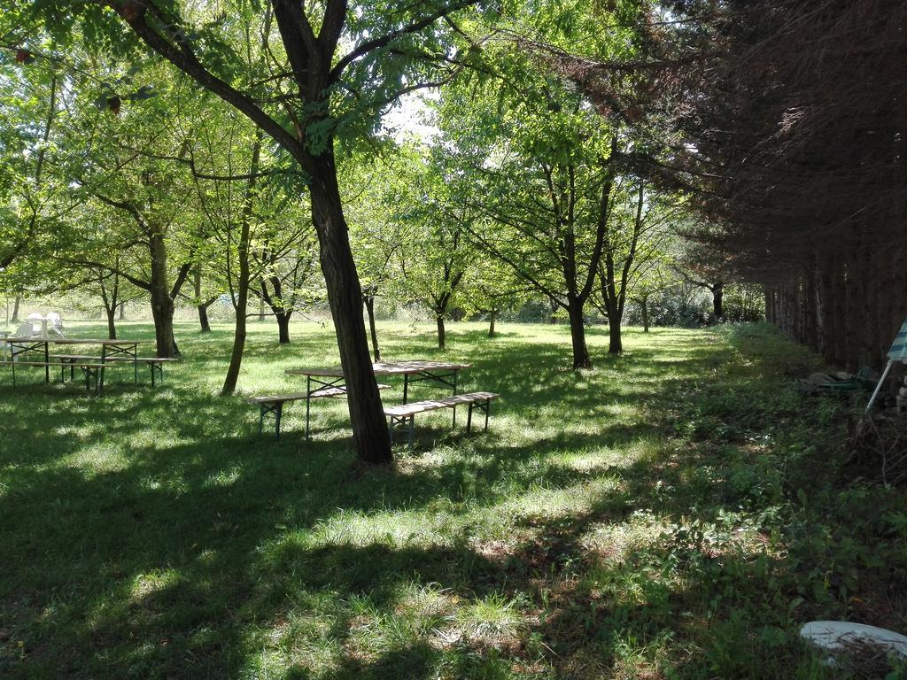 圣马西莫Agriturismo Le Due Arcate别墅 外观 照片