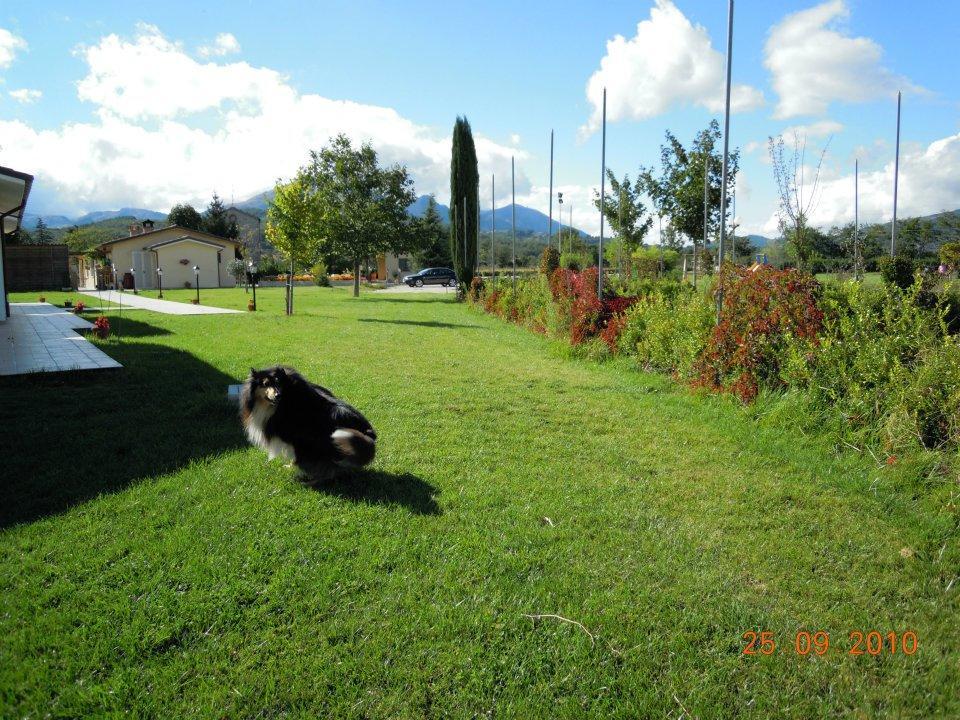 圣马西莫Agriturismo Le Due Arcate别墅 外观 照片