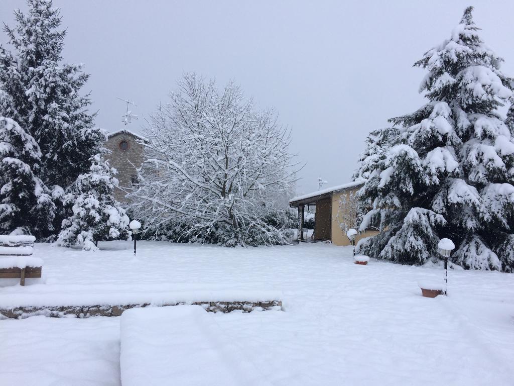 圣马西莫Agriturismo Le Due Arcate别墅 外观 照片