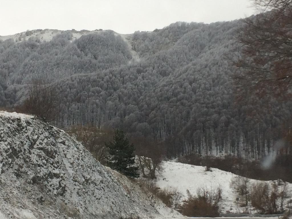圣马西莫Agriturismo Le Due Arcate别墅 外观 照片