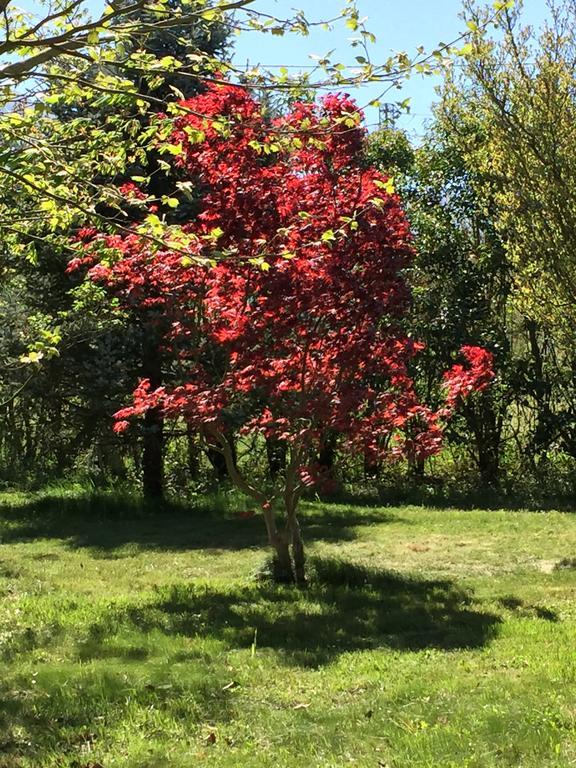 圣马西莫Agriturismo Le Due Arcate别墅 外观 照片